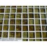 Vert opale brillant 1.5 par 1.5cm mosaïque verre artisanal par 36 carreaux