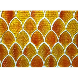 Orange clair mosaïque palmette en verre nacré vendu par 4